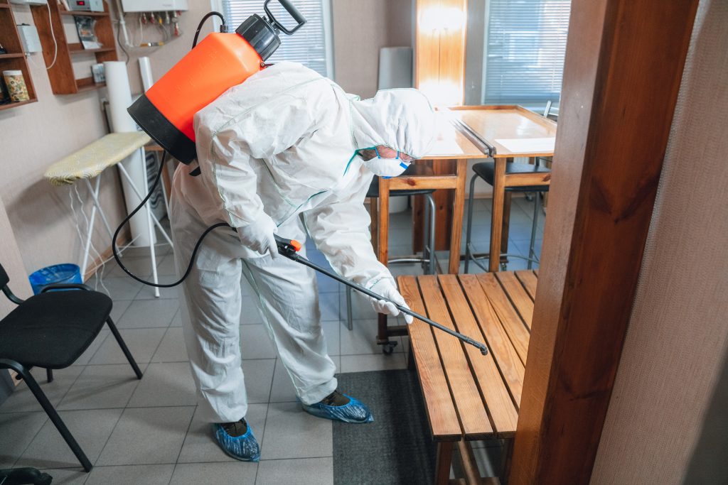 ag3d nuisibles société de desinsectisation